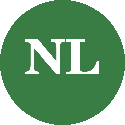 Logo Noe Lopes Brinkarr